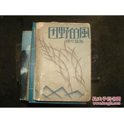 田野的風(fēng) 蔣光慈文藝創(chuàng)作中的革命抒情與鄉(xiāng)土敘事